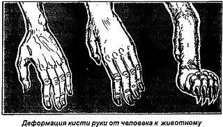 У четвероногих имеется хвост который является продолжением позвоночника Он - фото 29