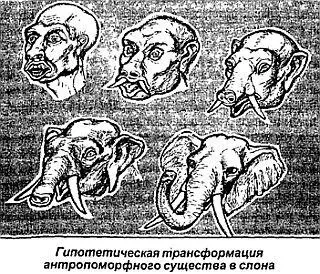 У Редьярда Киплинга есть рассказ Слоновый Тумай в котором известный писатель - фото 54