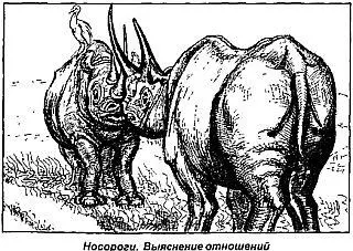 Образ прекрасного единорога похожего на коня с витым рогом нашел свое - фото 61