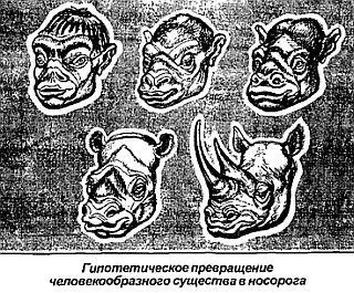 Местные аборигены рассказывают веселую историю В Африке некогда бушевал - фото 62