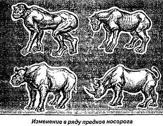 Среди аборигенов живущих на северовостоке Конго бытует легенда Когдато - фото 63
