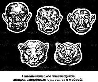 И действительно косолапый немного трусоват Если изпод его ног вдруг выскочит - фото 70