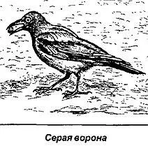 Но все же некоторые царственные европейские дома сумели сохранить особо - фото 80