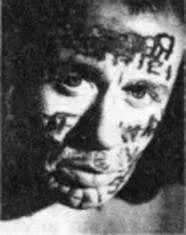 Аккончи Вито р 1940 НьюЙорк американский художник скульптор и акционер - фото 27