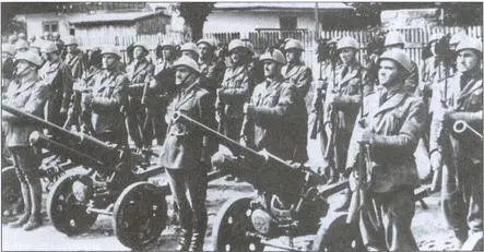 Противотанковая батарея берсальерского полка 47мм пушки Бреда обр 1932 г - фото 26