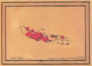 Ф П Толстой Ягоды красной и белой смородины 1818 г Государственная - фото 216
