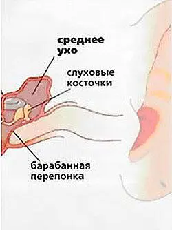 Связь между слухом и голосом двухсторонняя не только голос не может - фото 3