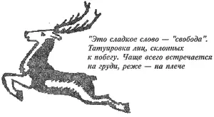 Очень часто беглый каторжник изнуренный месячными скитаниями по тайге - фото 46