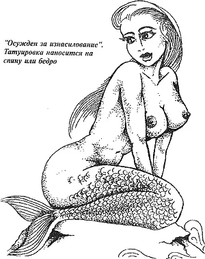Таежный волк умеет проверять толщину торфяного слоя и твердость грунта - фото 54