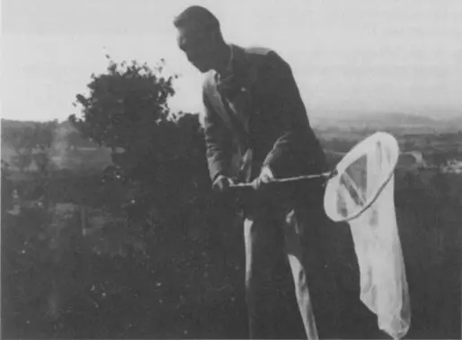 Набоков с сачком наготове Ле Булу весна 1929 г охотится на бабочек вдвоем с - фото 37