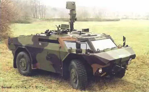 Вегманн Феннек 4x41998 г С середины 30х гг собирала легкие и средние - фото 377