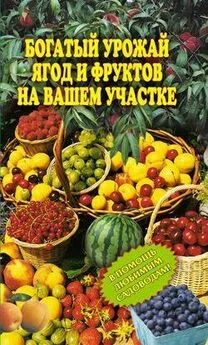 Ирина Муртазина - Богатый урожай ягод и фруктов на вашем участке. В помощь любимым садоводам!