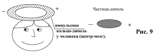 Что дает человеку преобладание какогонибудь одного вида энергии - фото 5