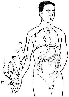 2 Меридиан толстой кишки GI20 точек парный относится к системе ян - фото 105