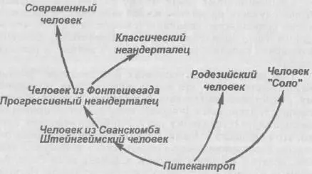 Рис 42 Филогенетическая схема эволюции и дифференциации Homo часть схем - фото 14