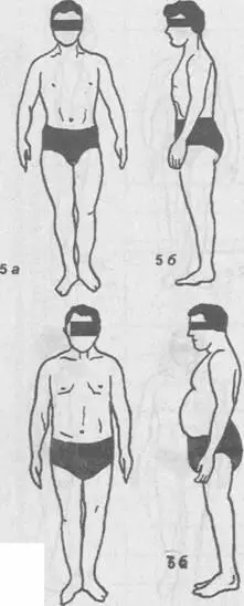 Рис V2 Соматотипы мужчин по Чтецову 1978 1 грудной 2 - фото 38