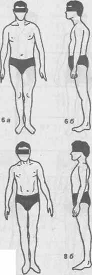 Рис V2 Соматотипы мужчин по Чтецову 1978 1 грудной 2 - фото 39