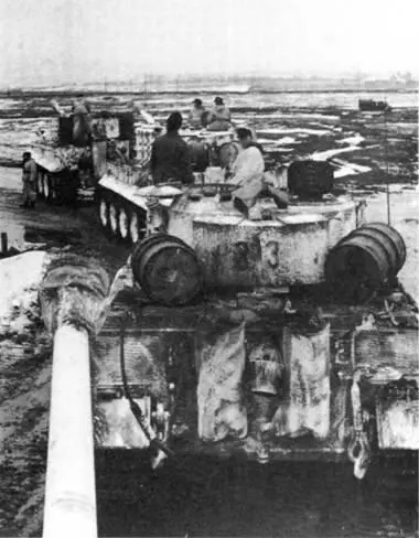 Колонна тигров 505го тяжелого танкового батальона Восточный фронт весна - фото 269