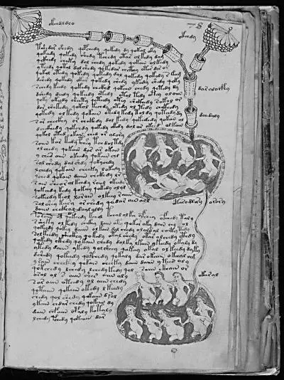 Страница из Манускрипта Войнича Десятого марта 1575 г королева Елизавета в - фото 44