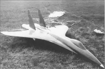 СЛМТ10 динамически подобная модель Т10 Модели самолета изменяемой - фото 90