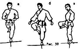 Сила которую можно достичь при ударе ногой вперед зависит от расстояния - фото 59