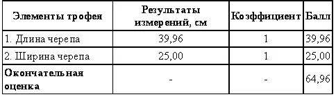 Оценка шкур бурого медведя 1 Измеряют длину шкуры от кончика носа до конца - фото 19