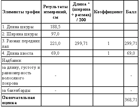 Леопард Леопард изящный зверь с длинным гибким телом на невысоких сильных - фото 26