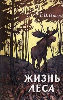 Сергей Огнев - Жизнь леса