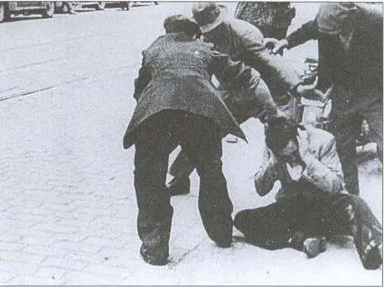 Еврейский погром во Львове Июль 1941 г Украинские националисты избивают - фото 17
