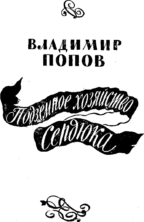 Владимир Попов Подземное хозяйство Сердюка ЧАСТЬ ПЕРВАЯ Глава первая - фото 2