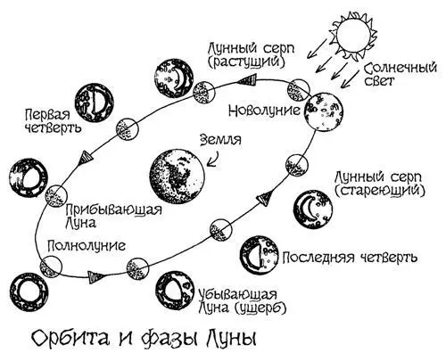 Рис 54 Фазы Луны Наблюдать Луну лучше всего не в полнолуние Новолуние - фото 229