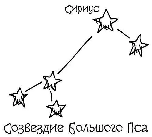 Рис 117 Сириус хозяин положения в созвездии Большого Пса Как у - фото 456