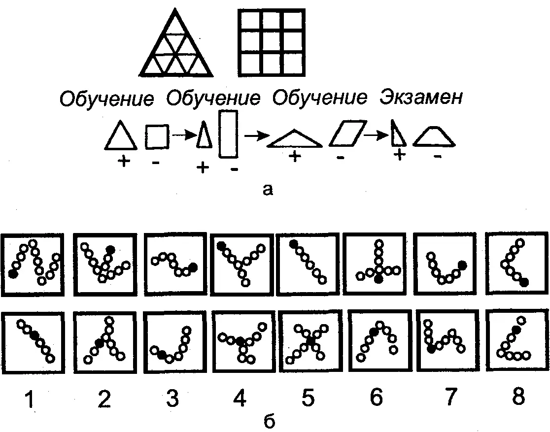 Рис 41 Изучение способности медоносной пчелы к зрительному обобщению опыты - фото 42
