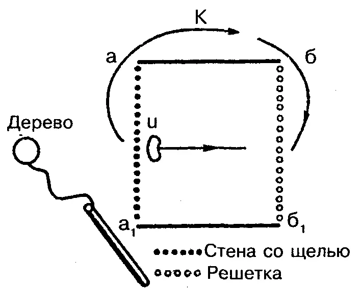 Рис 44 Схема сложной задачи для решения которой обезьяна должна привязанной - фото 45
