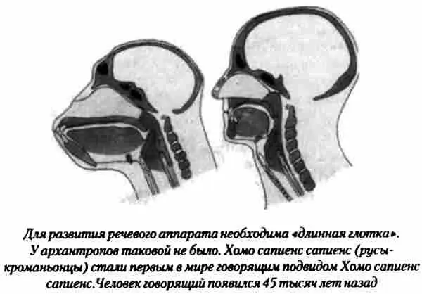 Это позволяет нам сделать выводы о том что человек неандертальский не исчез - фото 51