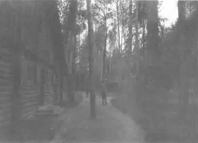 Вервольф июль 1942 г Бункер Гитлера Вервольф июль 1942 г Р - фото 18