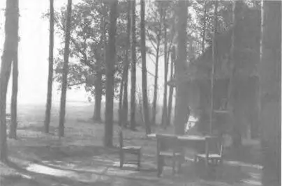 Вервольф июль 1942 г Бункер Гитлера Вервольф июль 1942 г Рабочий - фото 19