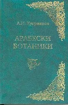 Андрей Куприянов - Арабески ботаники