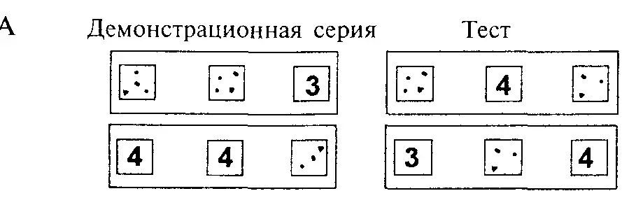 Рис 61 Исследование способности к символизации у ворон Карточки в центре - фото 59