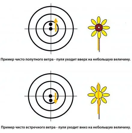 Если упрощенно то поверхность пули на которую действует ветер когда пуля - фото 187