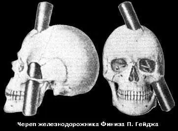 Перепуганные рабочие доставили его на повозке запряженной волами в гостиницу - фото 3