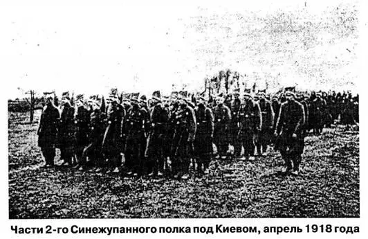 Несмотря на продовольственный кризис и немцы и австрийцы истратили множество - фото 9