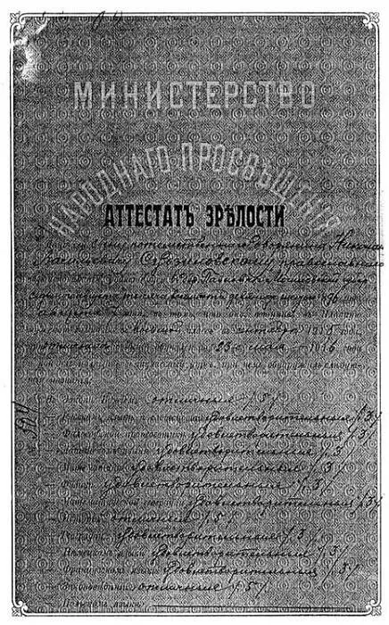 Белая гвардия Михаила Булгакова - фото 39
