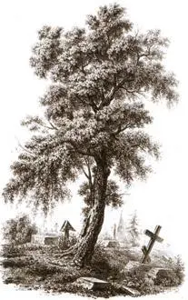 Кладбище Береза С Ф Галактионов 1823 г Траурные перстни Траурные - фото 55