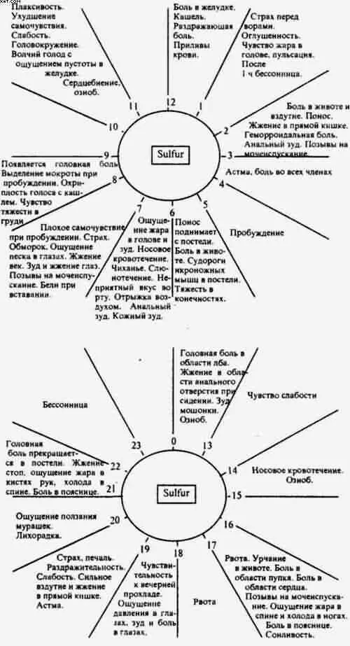 Временные симптомы суточного ритма Lycopodium Конечно сон в холодной - фото 6