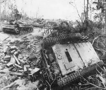 Разгромленная колонна немецких штурмовых орудий Рижское направление 1944 г - фото 126