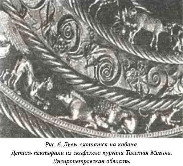 34 Культурные растения и домашние животные Нам еще нужно разобраться с целой - фото 6