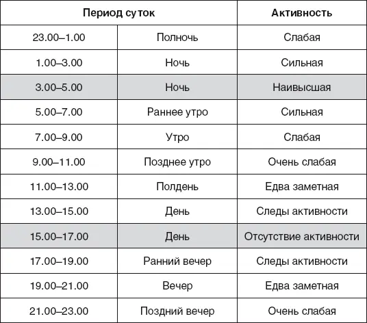 Северное направление в Середине зимы и в определенные часы ночи каждого дня - фото 27