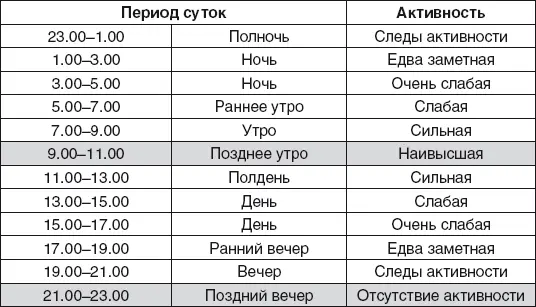 Сезонная активность окон и дверей востокоюго восточной стороны любого - фото 33