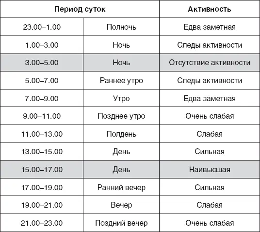 Югоюгозападное направление в Середине лета и в определенные часы каждого дня - фото 39